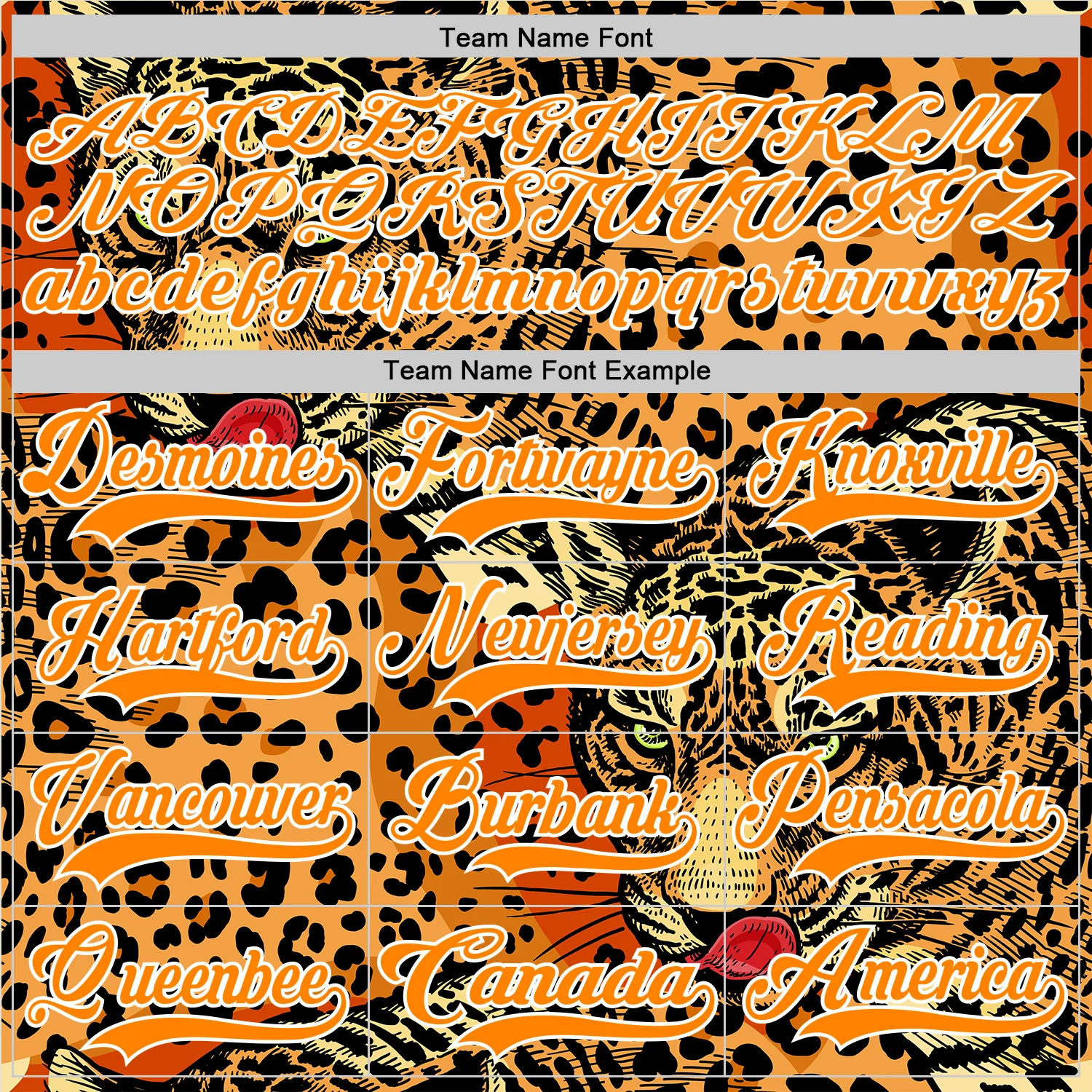 Custom Bay Orange Black-White Leopard Print Hockey Lace Neck Jersey - Image 6