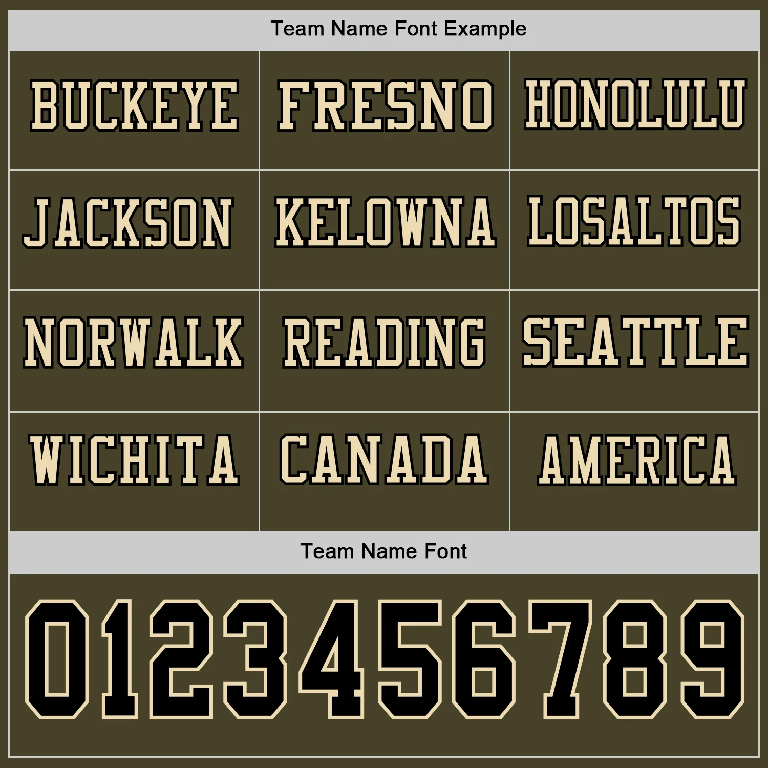 Custom Olive Black-Cream Long Sleeve Salute To Service Authentic Football Jersey - Image 3