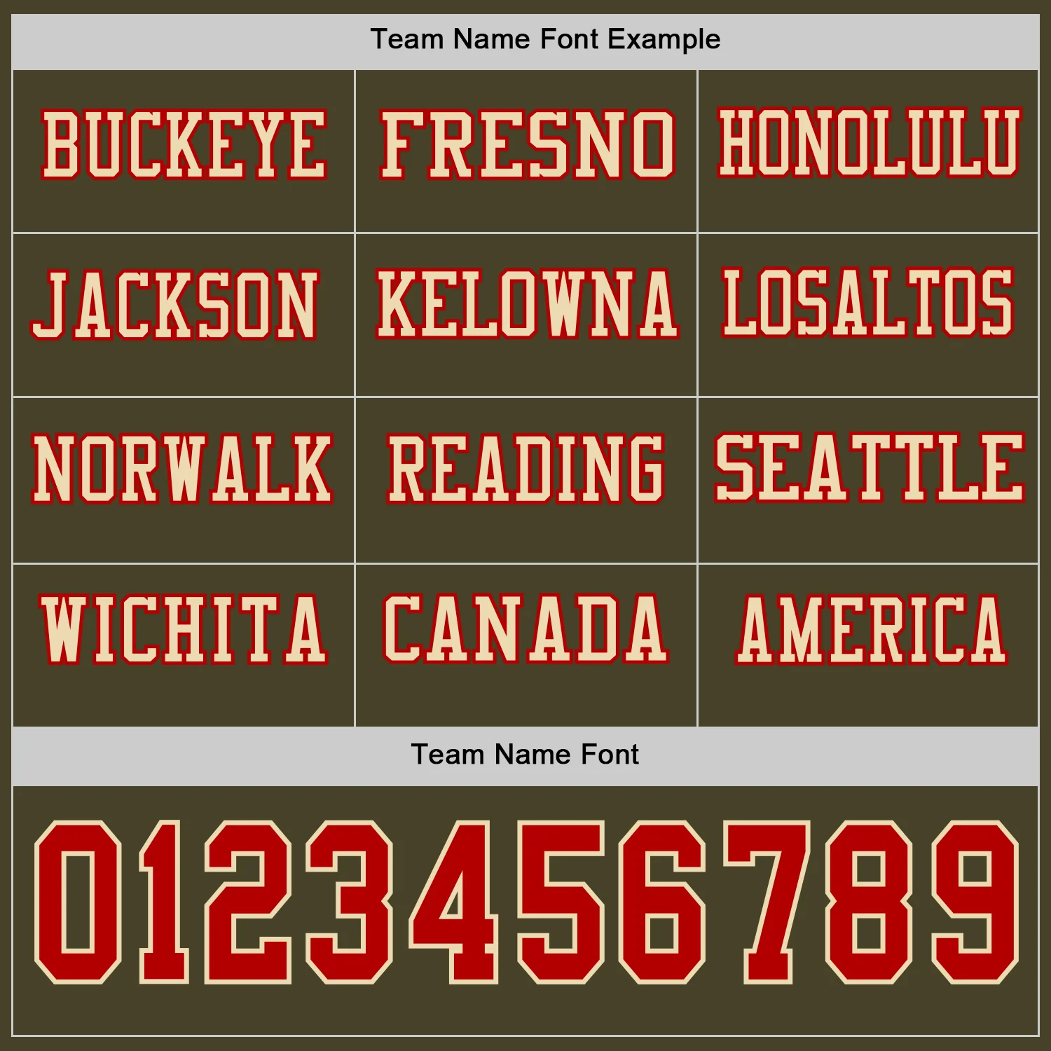 Custom Olive Red-Cream Long Sleeve Salute To Service Authentic Football Jersey - Image 3