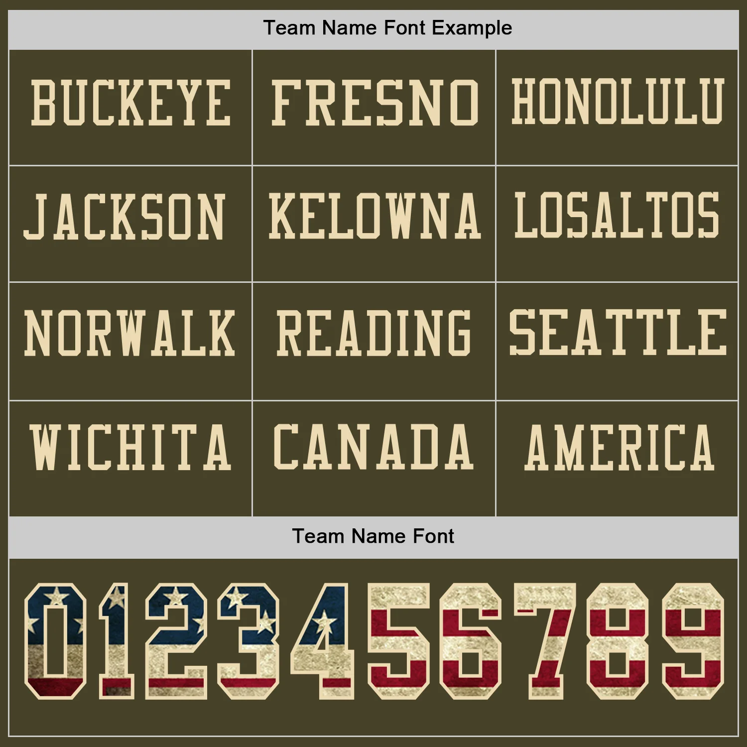 Custom Olive Vintage USA Flag-Cream Long Sleeve Salute To Service Authentic Football Jersey - Image 3