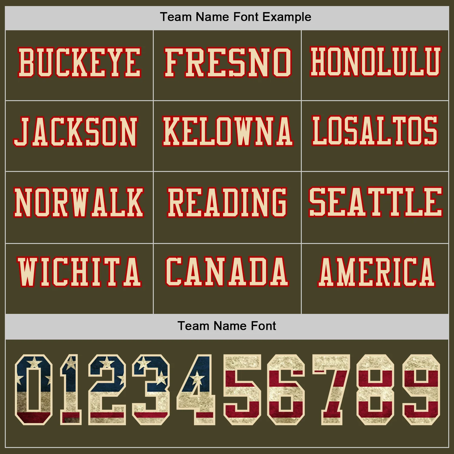 Custom Olive Vintage USA Flag Cream-Red Long Sleeve Salute To Service Authentic Football Jersey - Image 3