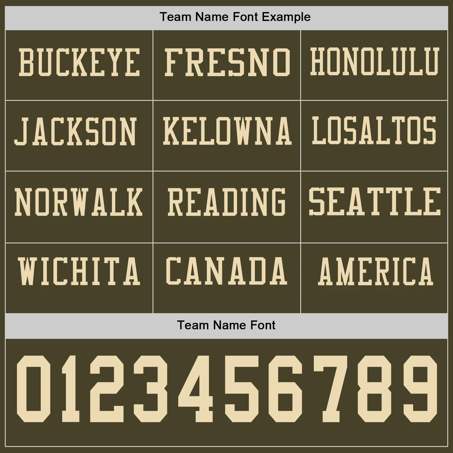 Custom Olive Cream Long Sleeve Salute To Service Authentic Football Jersey - Image 3