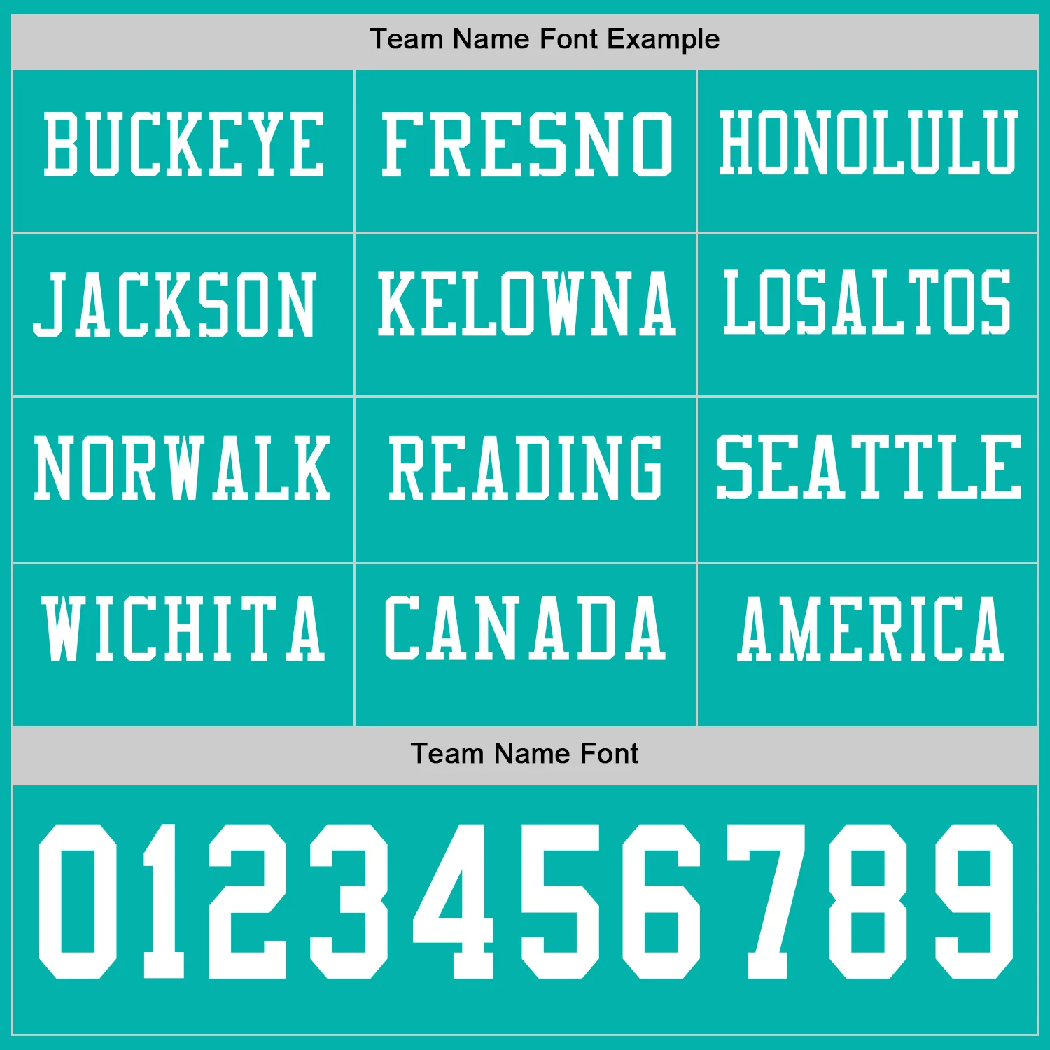 Custom Aqua White Long Sleeve Authentic Football Jersey - Image 3