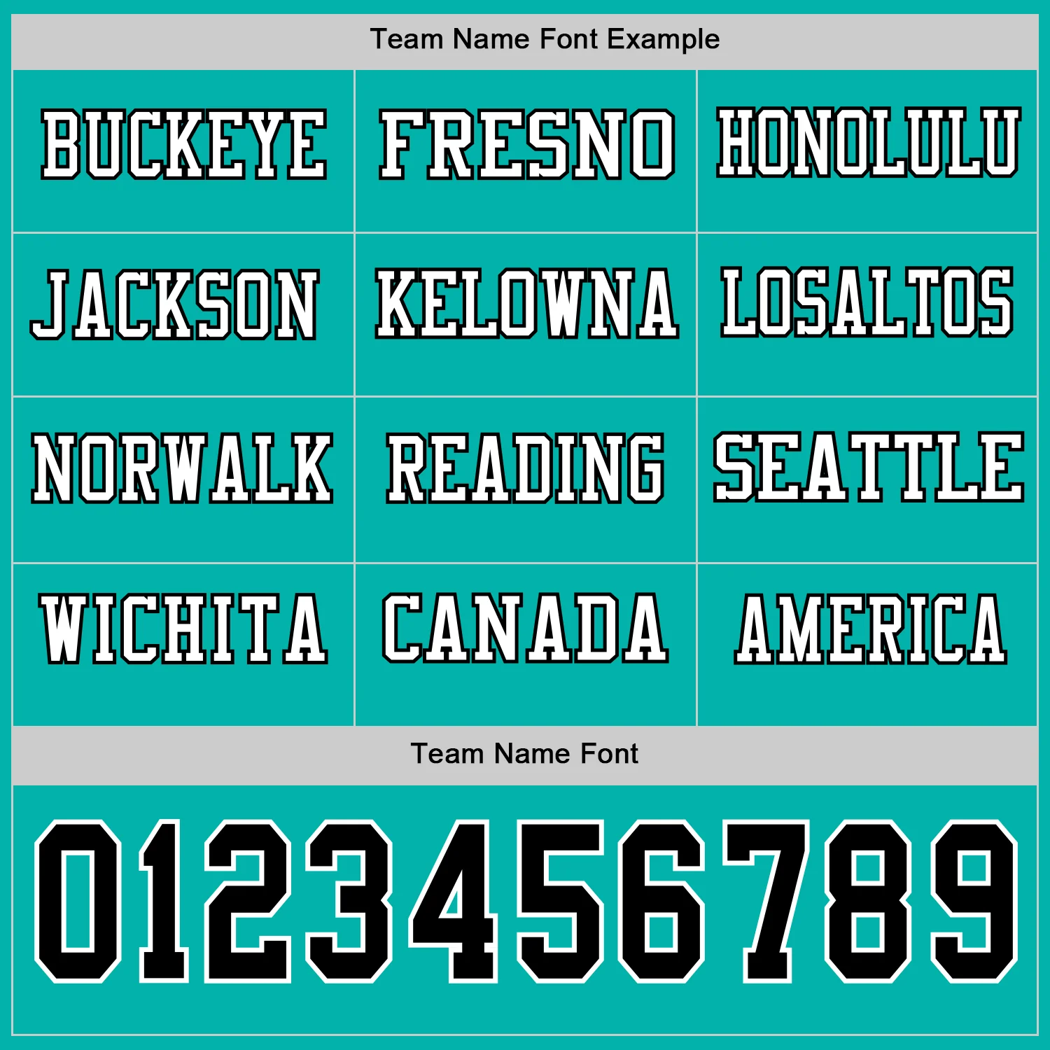 Custom Aqua Black-White Long Sleeve Authentic Football Jersey - Image 3