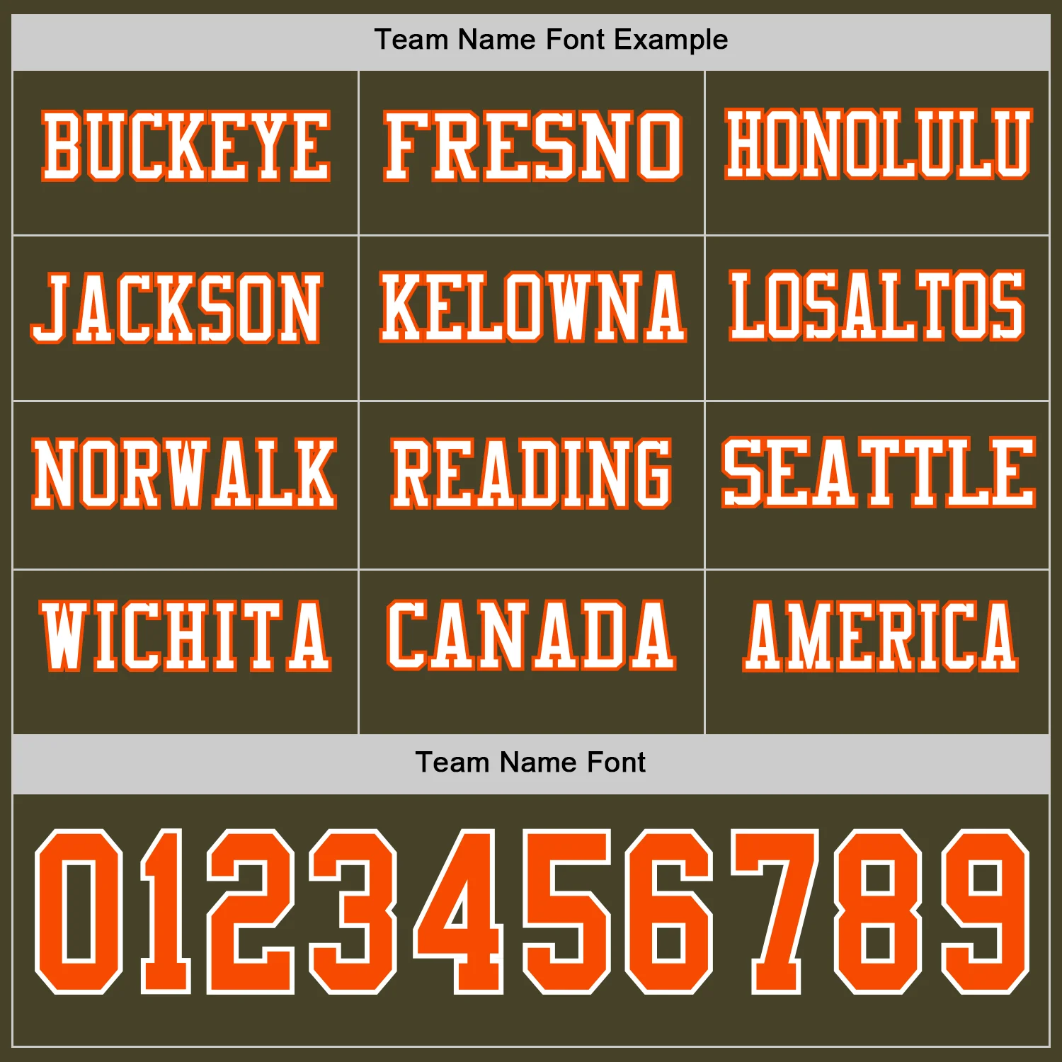 Custom Olive Orange-White Long Sleeve Salute To Service Authentic Football Jersey - Image 3