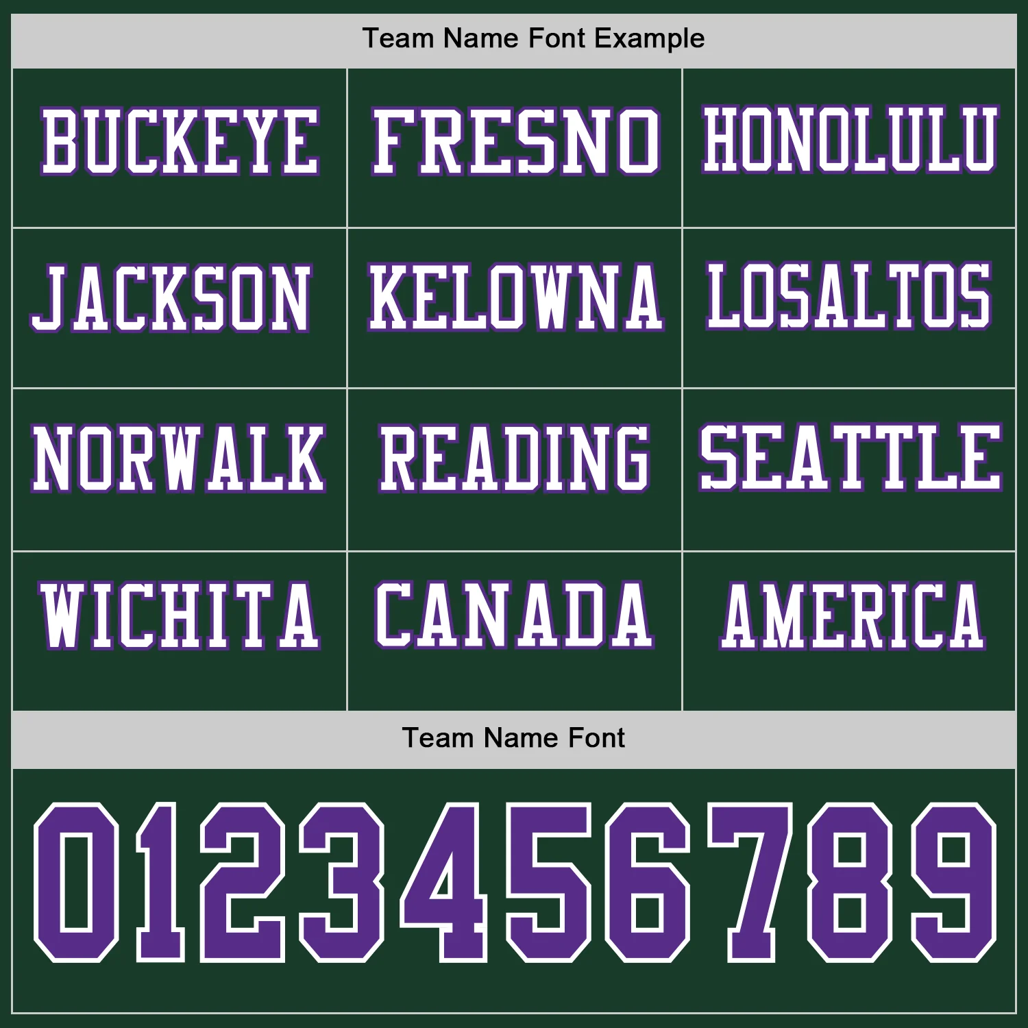 Custom Green Purple-White Long Sleeve Authentic Football Jersey - Image 3